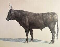 Oil on birch. Panel, 36" x 48"