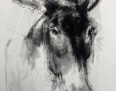 charcoal, unframed, 29.5" x 24"