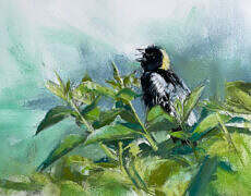 charcoal and pastel, unframed, 12" x 15"